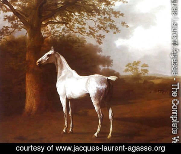 Jacques Laurent Agasse - White Horse in Pasture