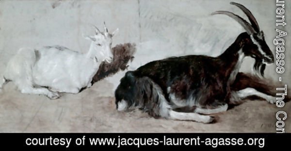 Jacques Laurent Agasse - Two Goats