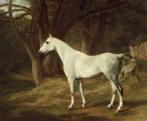 Jacques Laurent Agasse - A grey hunter in a wooded landscape