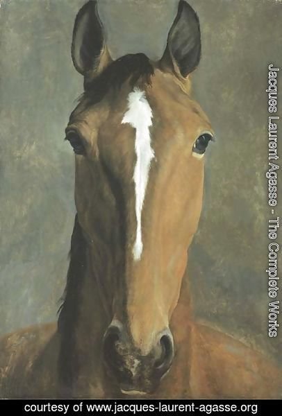 Jacques Laurent Agasse - Head of a bay horse