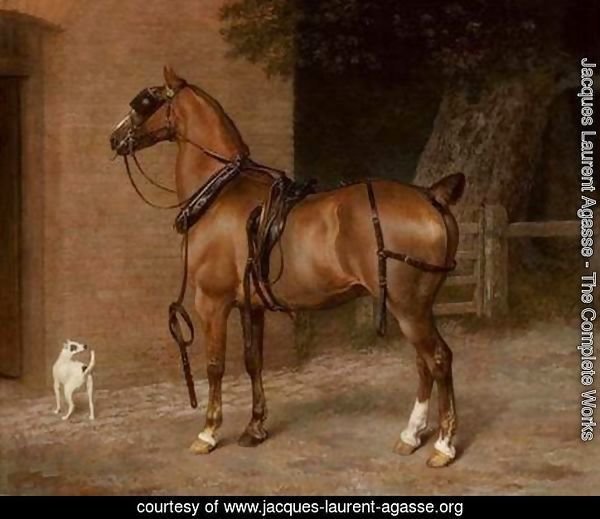 A Carriage Horse