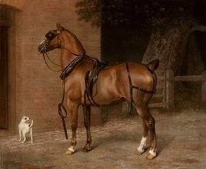 Jacques Laurent Agasse - A Carriage Horse