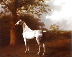 Jacques Laurent Agasse - White Horse in Pasture