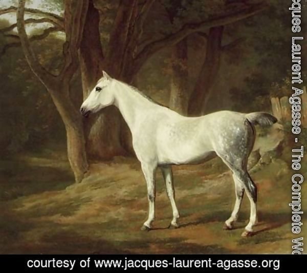 Jacques Laurent Agasse - A grey hunter in a wooded landscape