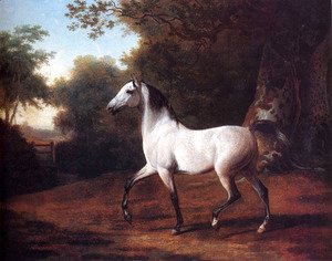 Jacques Laurent Agasse - A Grey Arab Stallion In A Wooded Landscape