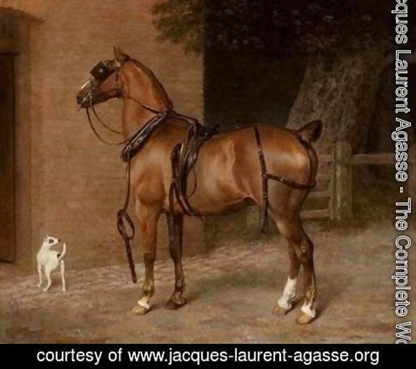 Jacques Laurent Agasse - A Carriage Horse