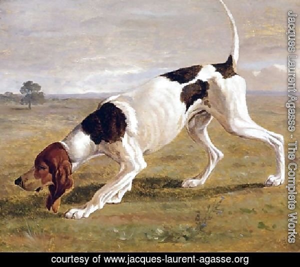 A Pointer In A Landscape