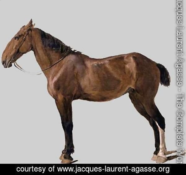 Jacques Laurent Agasse - Portrait of a Horse, 1794